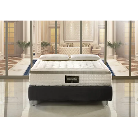 Queen 14" Memory Foam Mattress